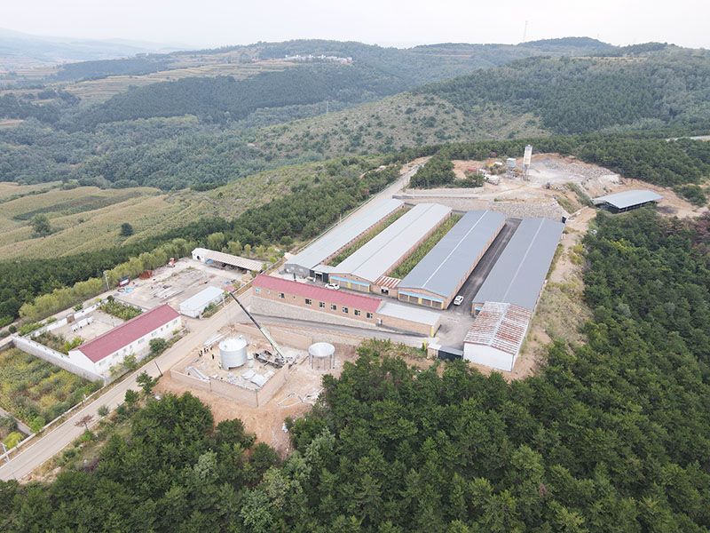 山西長治 蛋雞養殖場