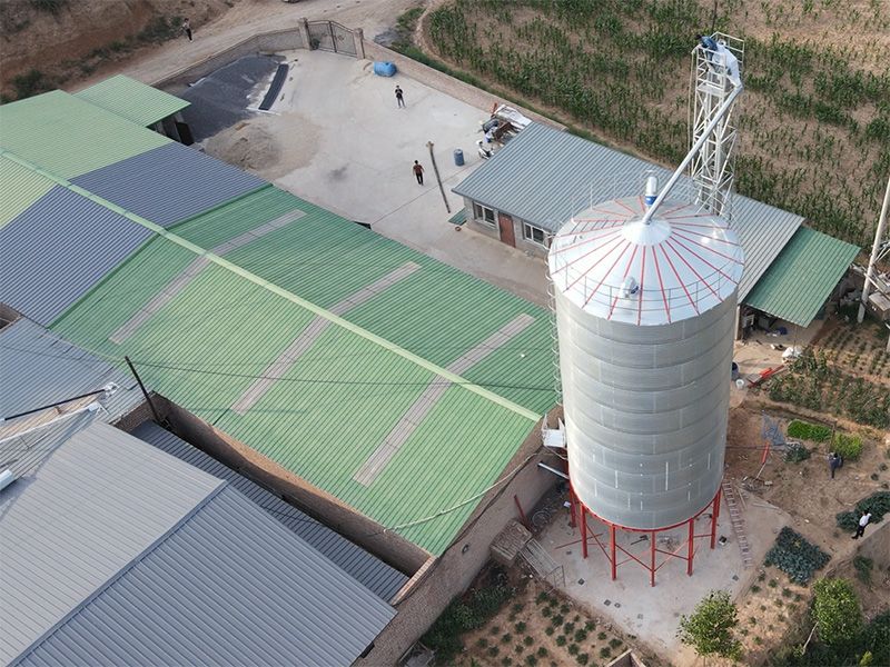 山西呂梁 蛋雞養殖場