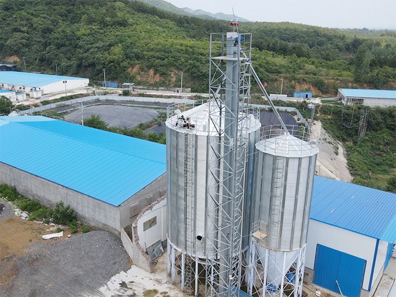 河南南陽 養豬場